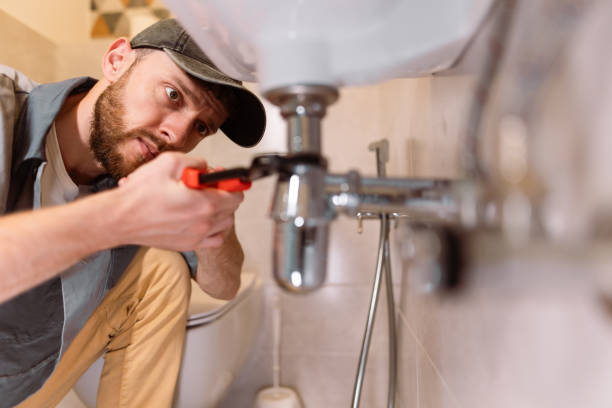 Best Clogged Drain Plumber  in Frent Hills, MO